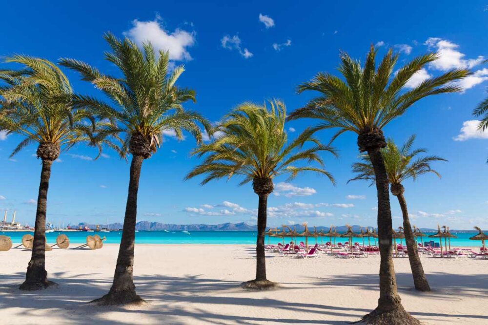 Playa de Alcudia, Лучшие пляжи Испании, лучшие пляжи Испании с белым песком, лучшие пляжи Испании для отдыха с детьми, лучшие пляжи в Испании недалеко от Барселоны, Где лучше всего отдыхать в Испании на море, лучшие пляжи в Испании на материке, лучшие пляжи в Испании для пары, лучшие пляжи в Испании для семей, Найкращі пляжі Іспанії, найкращі пляжі Іспанії з білим піском, найкращі пляжі Іспанії для відпочинку з дітьми, найкращі пляжі в Іспанії недалеко від Барселони, Де найкраще відпочивати в Іспанії на морі, найкращі пляжі в Іспанії на материку, найкращі пляжі в Іспанії для пари, найкращі пляжі в Іспанії для сімей, Best beaches in Spain, best white sand beaches in Spain, best beaches in Spain for holidays with kids, best beaches in Spain near Barcelona, Where is the best seaside holiday in Spain, best beaches in Spain on the mainland, best beaches in Spain for couples, best beaches in Spain for families, Las mejores playas de España, las mejores playas de arena blanca de España, las mejores playas de España para vacaciones con niños, las mejores playas de España cerca de Barcelona, Dónde están las mejores vacaciones junto al mar en España, las mejores playas de España en la península, las mejores playas de España para parejas, las mejores playas de España para familias, Playa de Alcudia