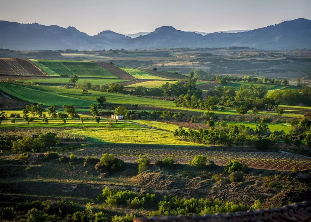 Guide de La Rioja : caves, hôtels, itinéraires, excursions