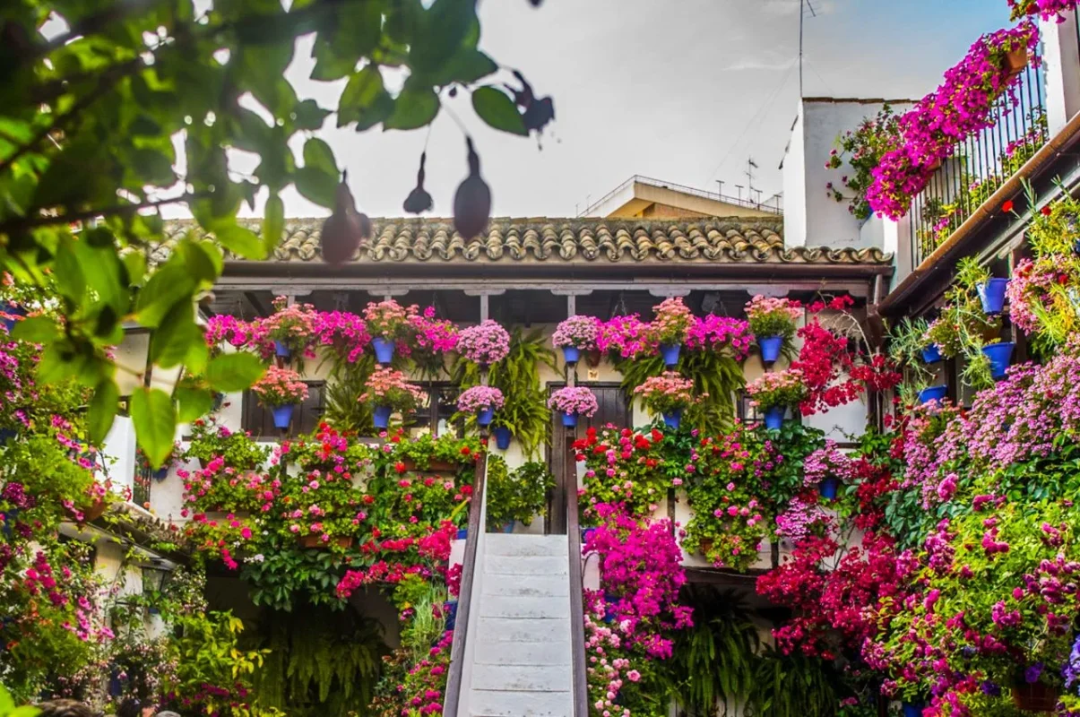 La Fiesta de los Patios de Córdoba — яркий и самобытный фестиваль Испании