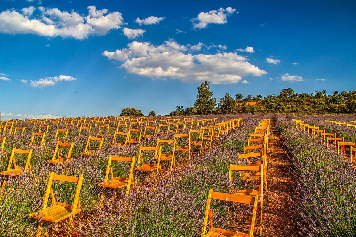 Фестиваль лавандовых полей в Бриуэге 2024, Festival Campos de Lavanda de Brihuega 2024, лавандовые поля Испании, лавандовые поля Бриуэге, Фестиваль лавандових полів у Бріхуеге 2024, лавандові поля Іспанії, лавандові поля Бріхуеге, Brihuega Lavender Festival 2024, lavender fields of Spain, lavender fields of Brihuega, Festival Campos de Lavanda de Brihuega 2024, campos de lavanda de España, campos de lavanda de Brihuega, Фестиваль лаванды в Бриуэге Испания, Фестиваль лаванды в Бриуэге, Fiesta de la Lavanda en Brijhuega, fiesta de la lavanda en brihuega, fiesta de lavanda en brihuega, la fiesta de la lavanda en brihuega, brihuega lavanda junio, Фестиваль лаванди в Бріуезі Іспанія, Фестиваль лаванди в Бріуезі, Briuega Lavender Festival Spain, Briuega Lavender Festival, Fête de la lavande à Brihuega Espagne, Fête de la lavande à Brihuega, Brihuega Lavender Festival Hiszpania, Brihuega Lavender Festival