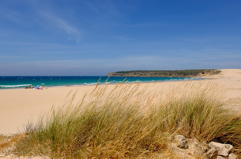 Playa de Bolonia Tarifa Andalucía