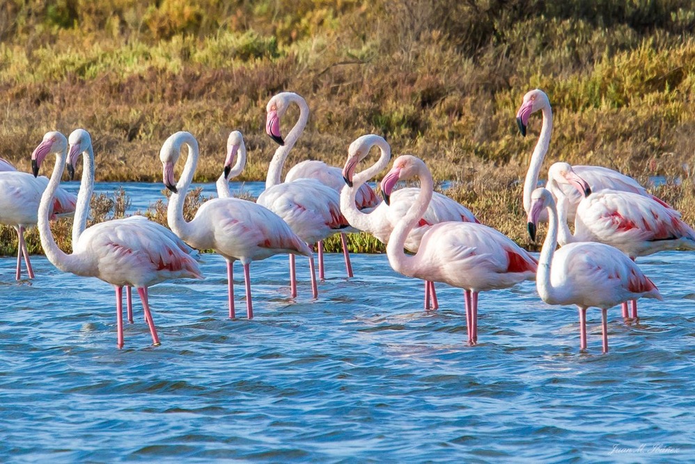 Parque Natural de la Bahía de Cádiz, Bahía de Cádiz Natural Park