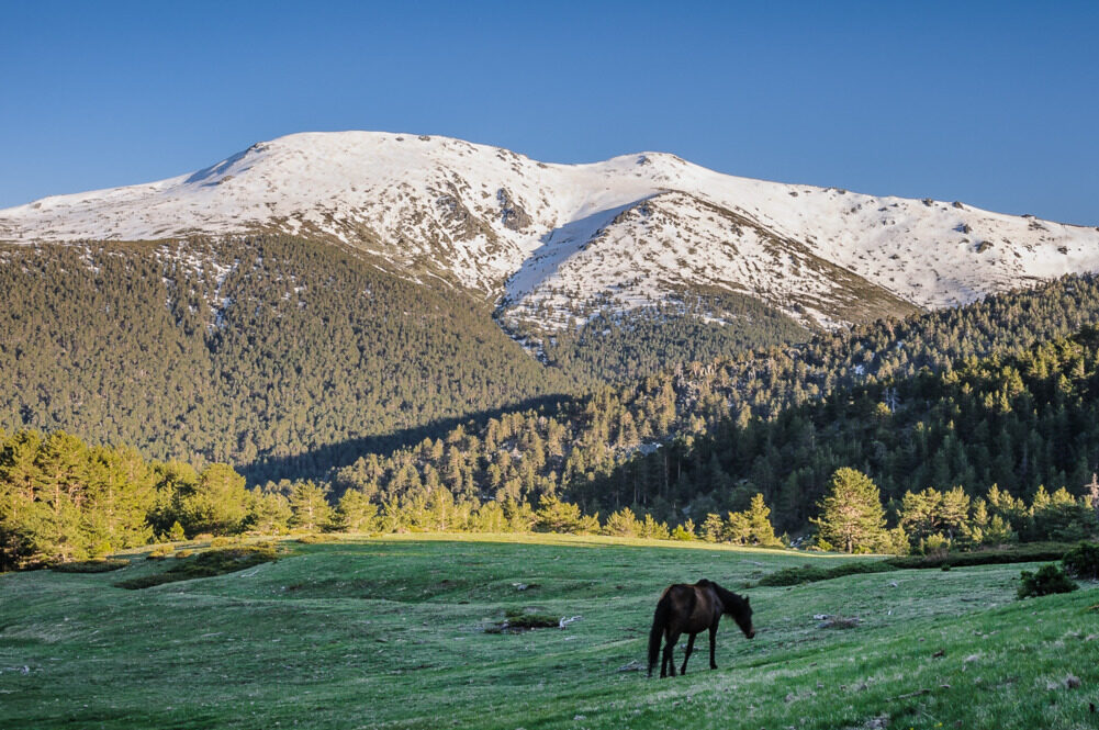 Sierra de Guadarrama.